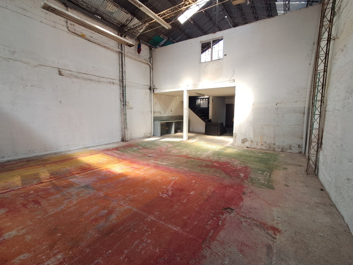Bodega - Foto 4