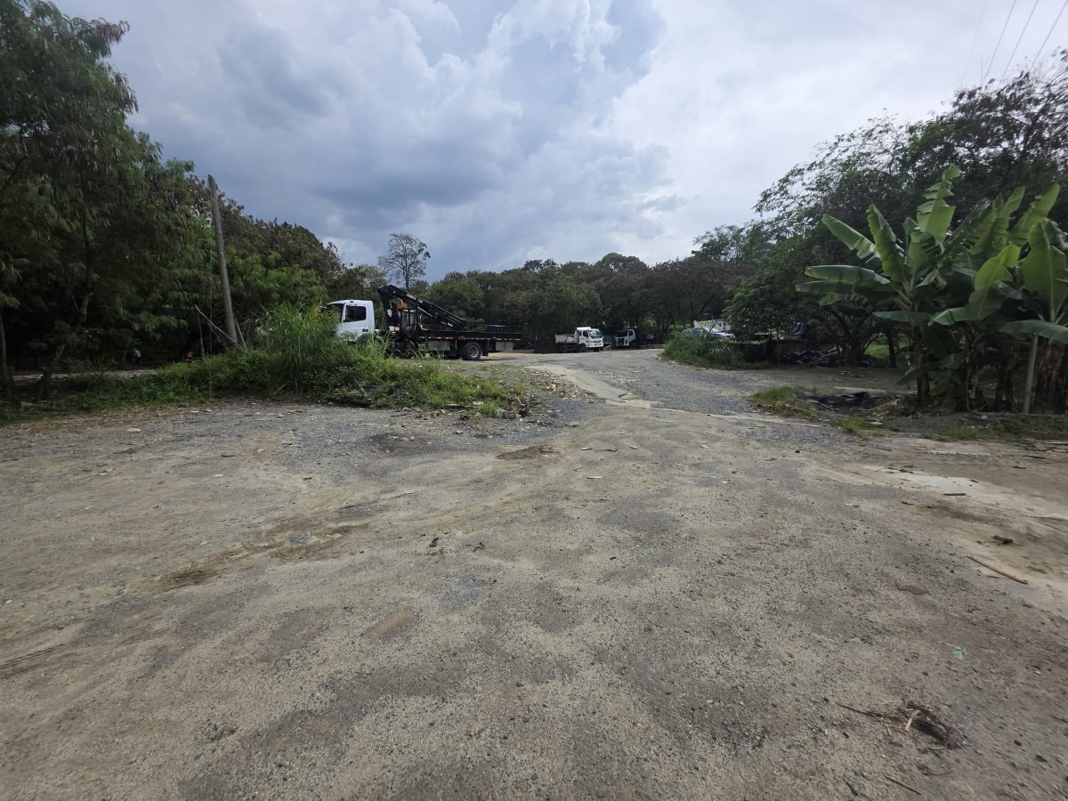 Lote - Foto 11