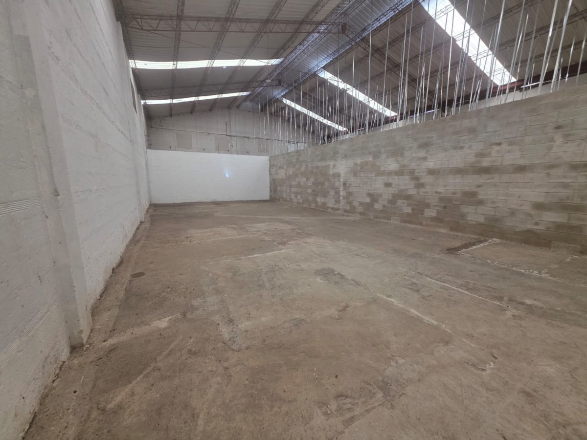 Bodega - Foto 6