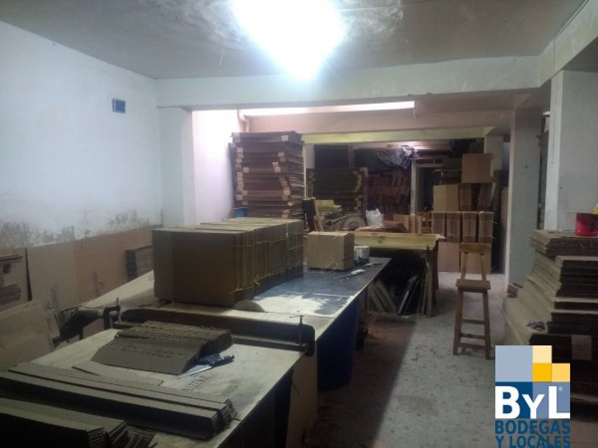 Bodega - Foto 4