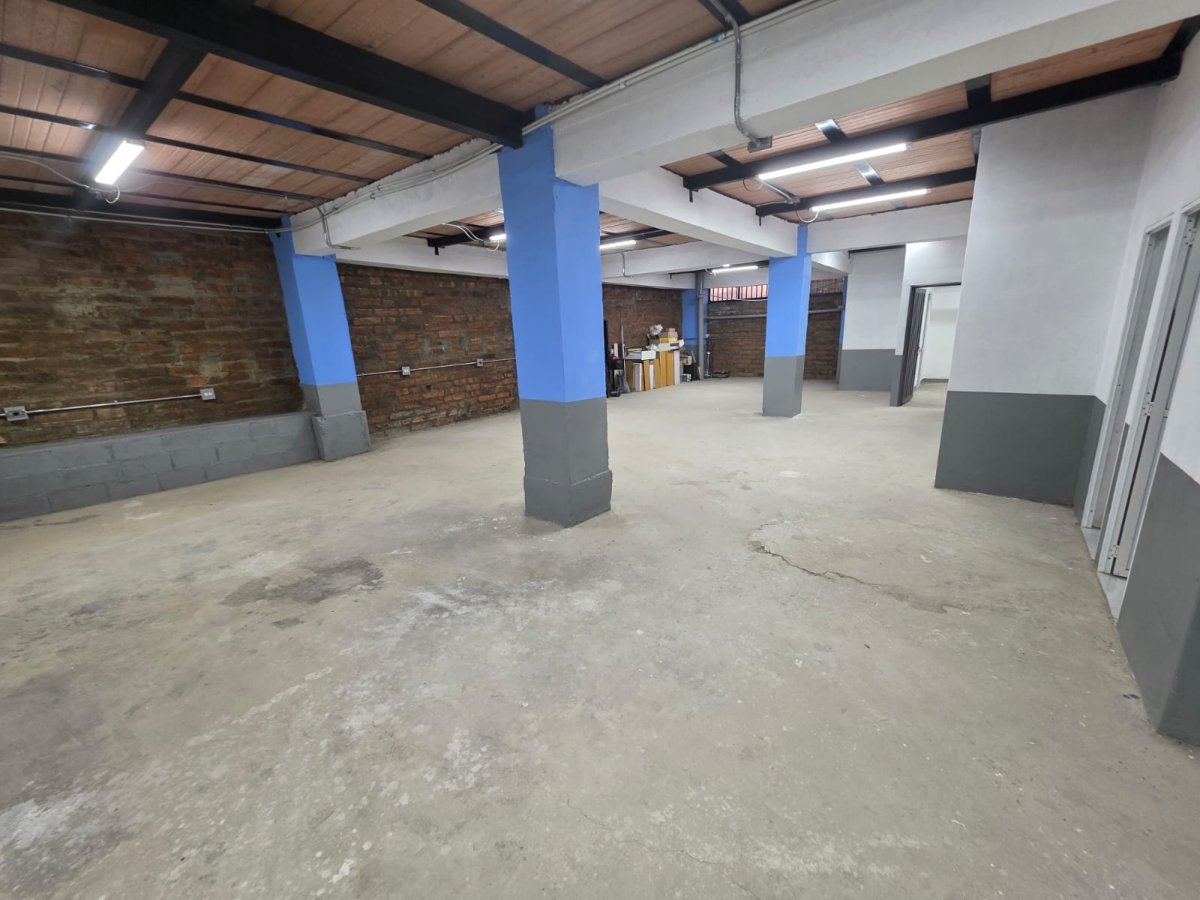 Bodega - Foto 6