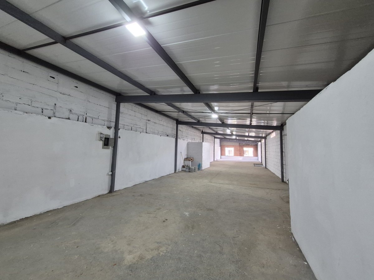 Bodega - Foto 2