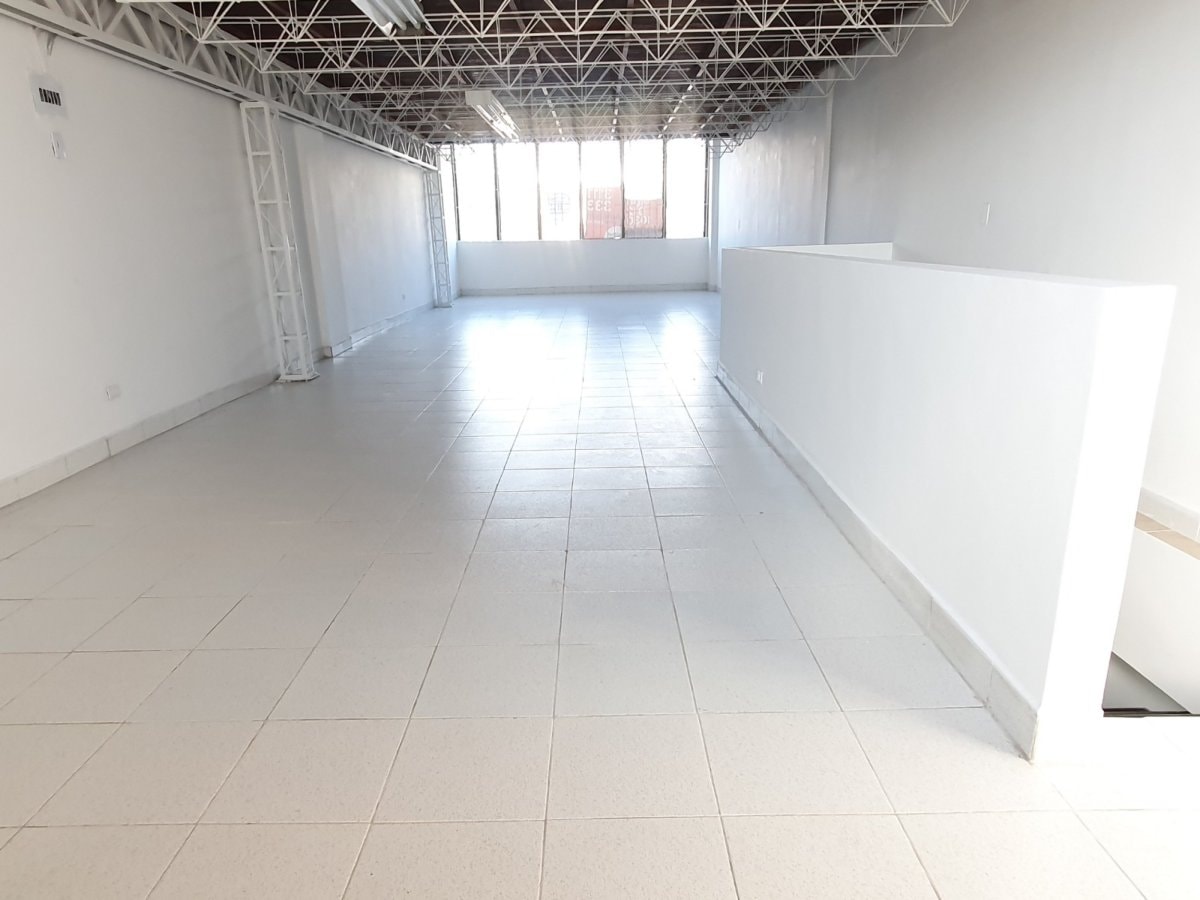 Bodega - Foto 3