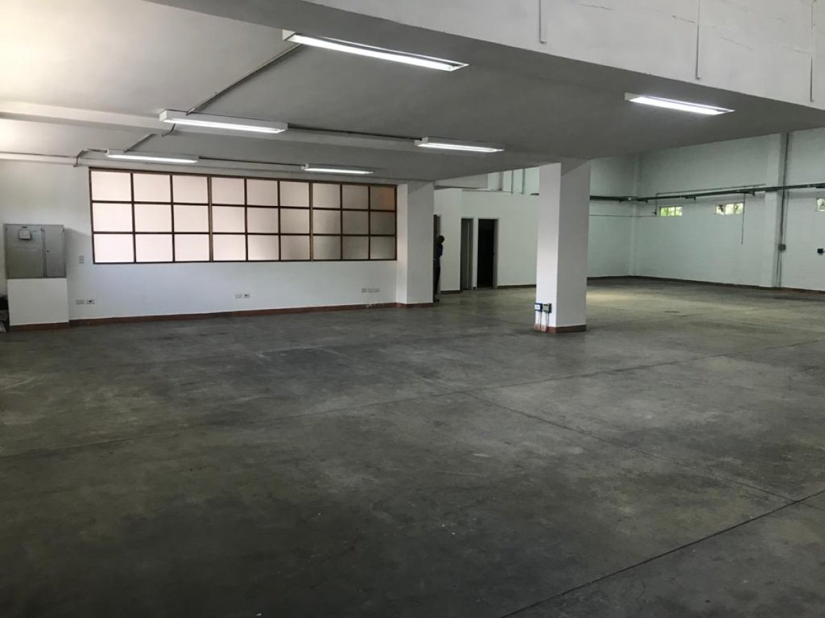 Bodega - Foto 4