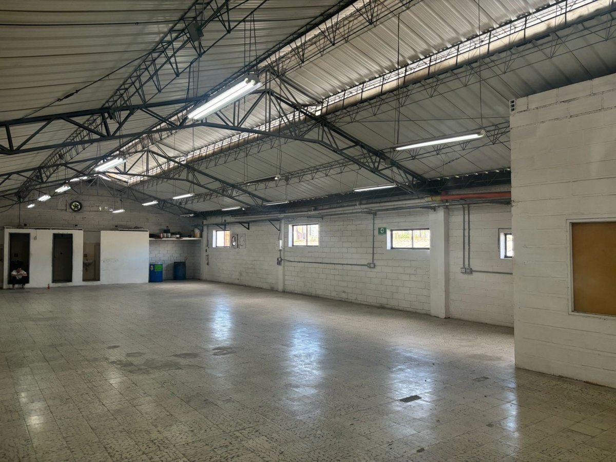 Bodega - Foto 2