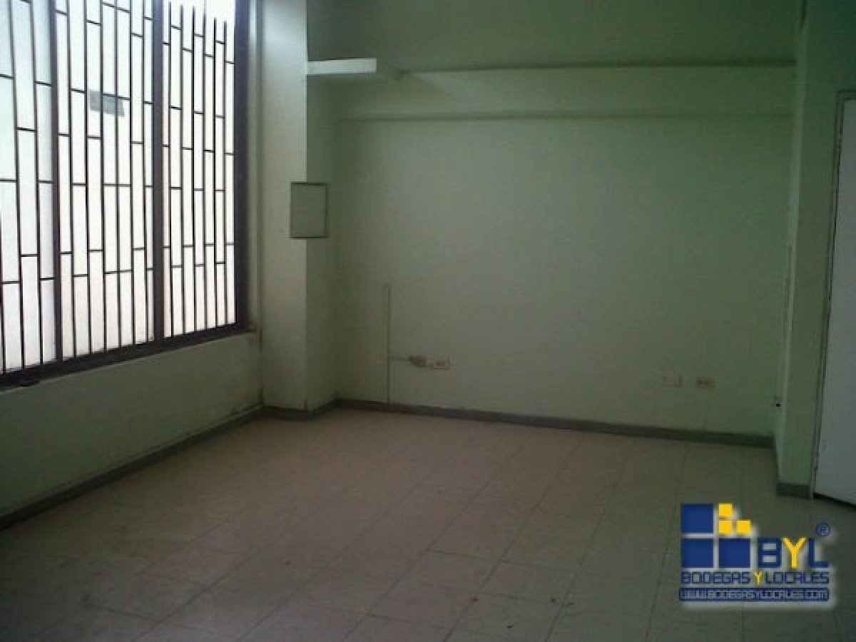 Bodega - Foto 5
