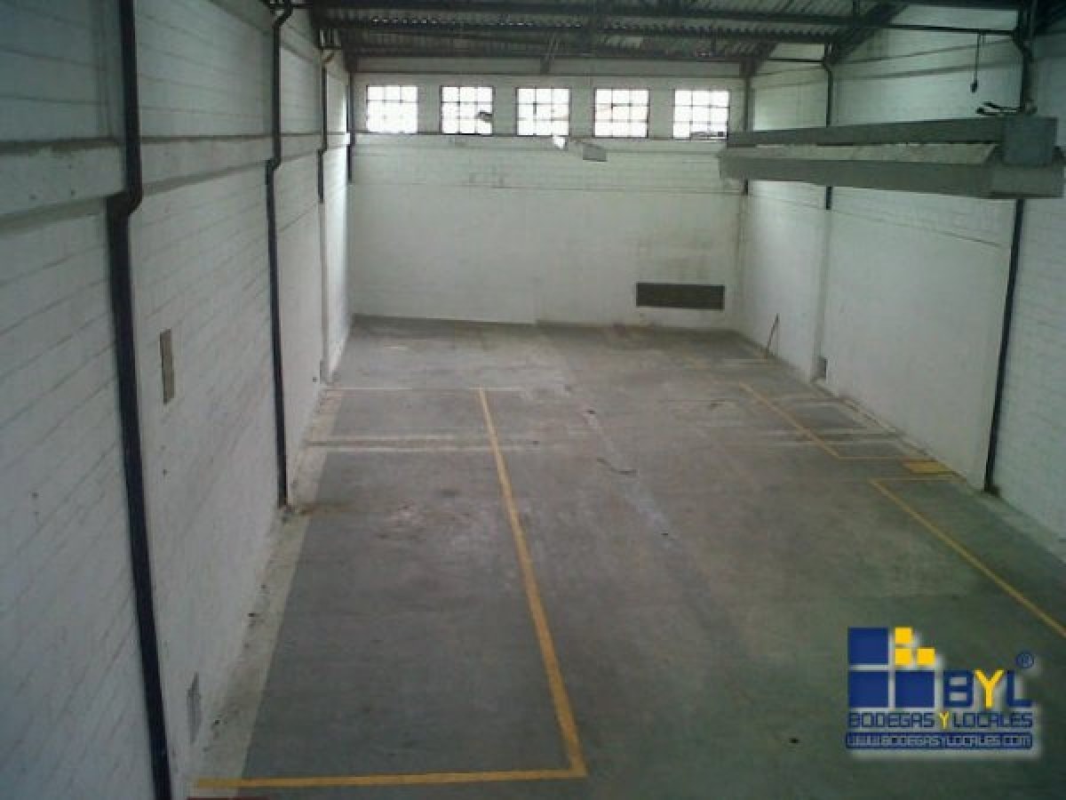 Bodega - Foto 4