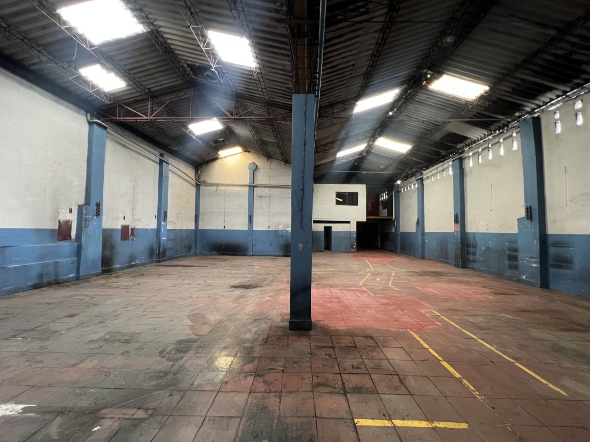 Bodega - Foto 4