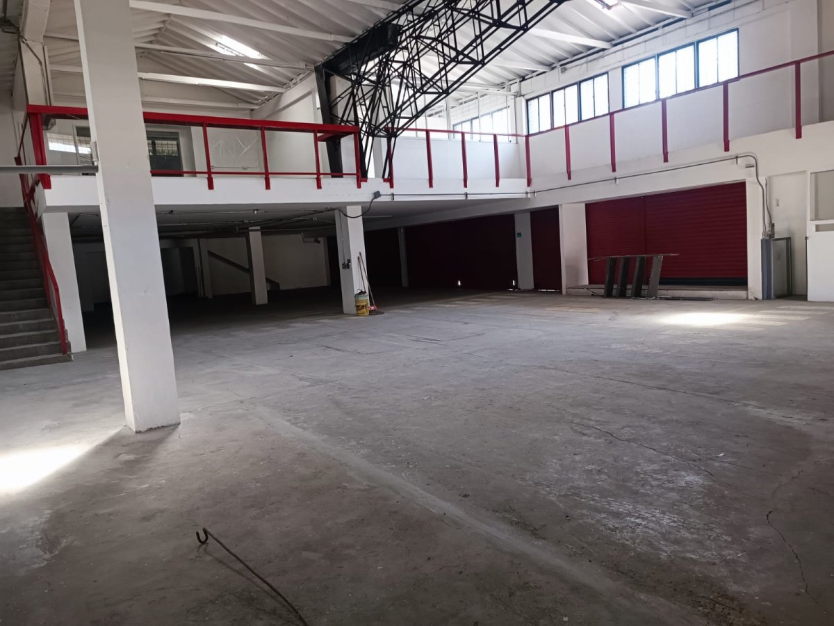 Bodega - Foto 2