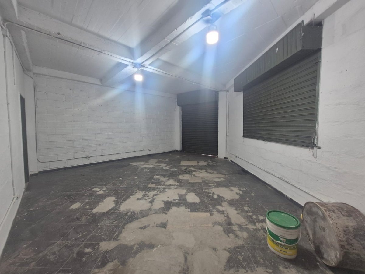 Bodega - Foto 3