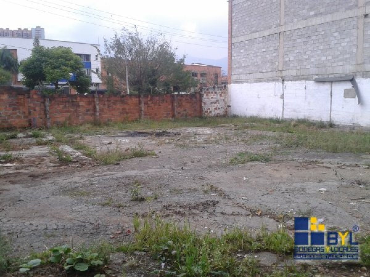 Lote - Foto 2