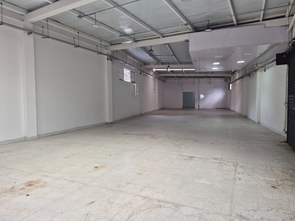Bodega - Foto 5