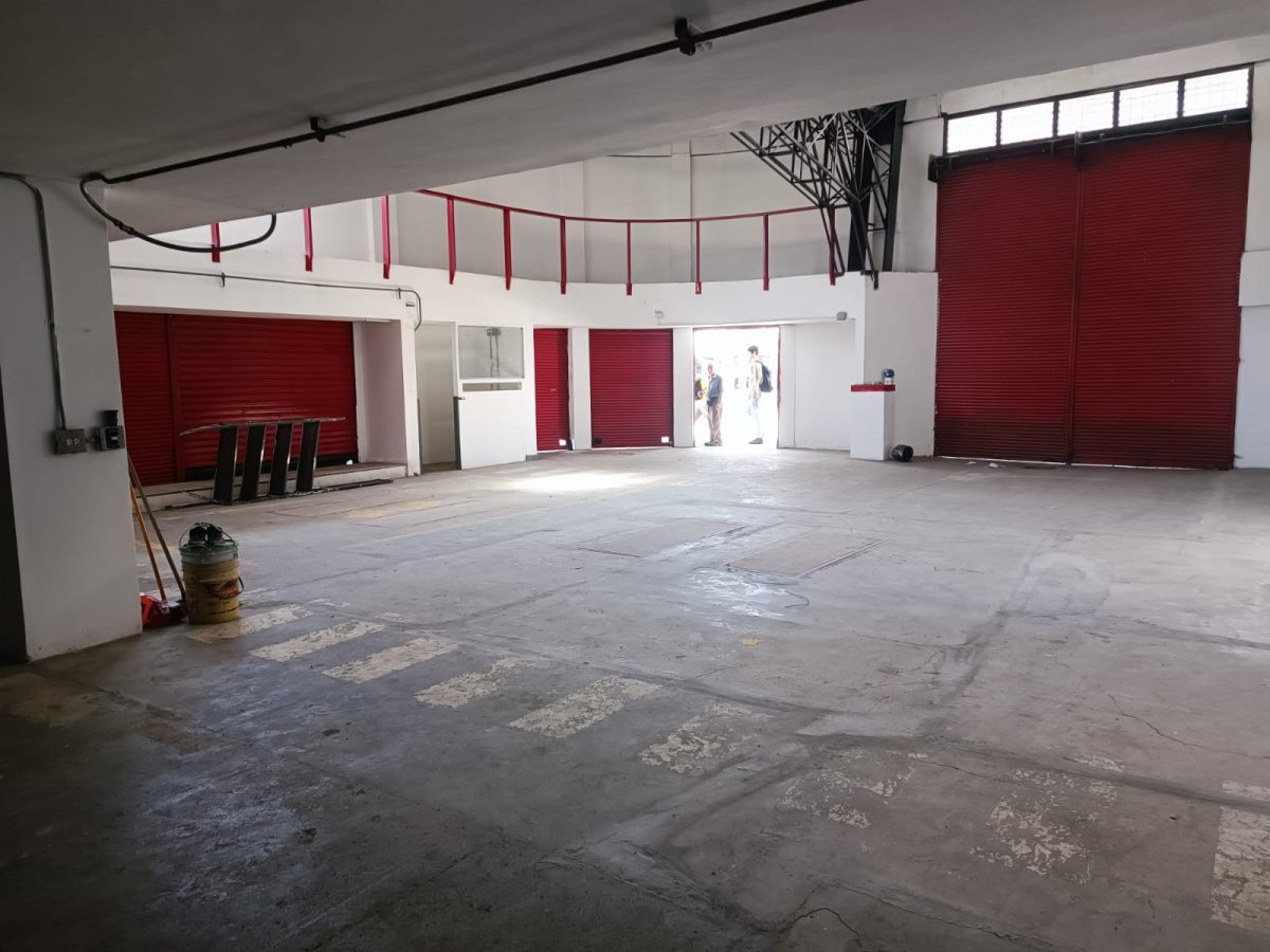 Bodega - Foto 11