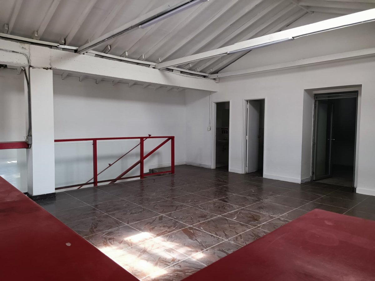 Bodega - Foto 6