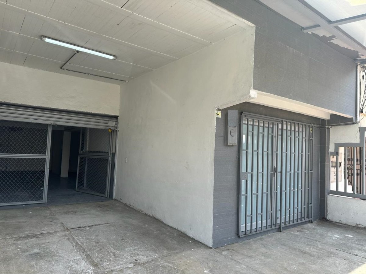 Bodega - Foto 4