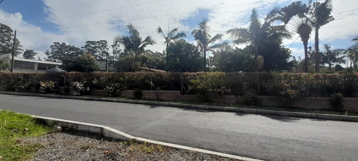 Local - Foto 11