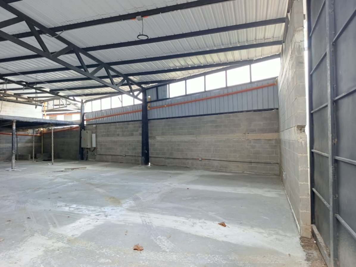 Bodega - Foto 3