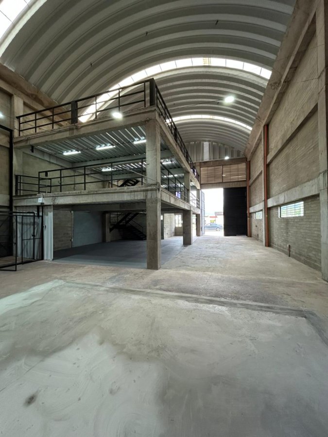 Bodega - Foto 10