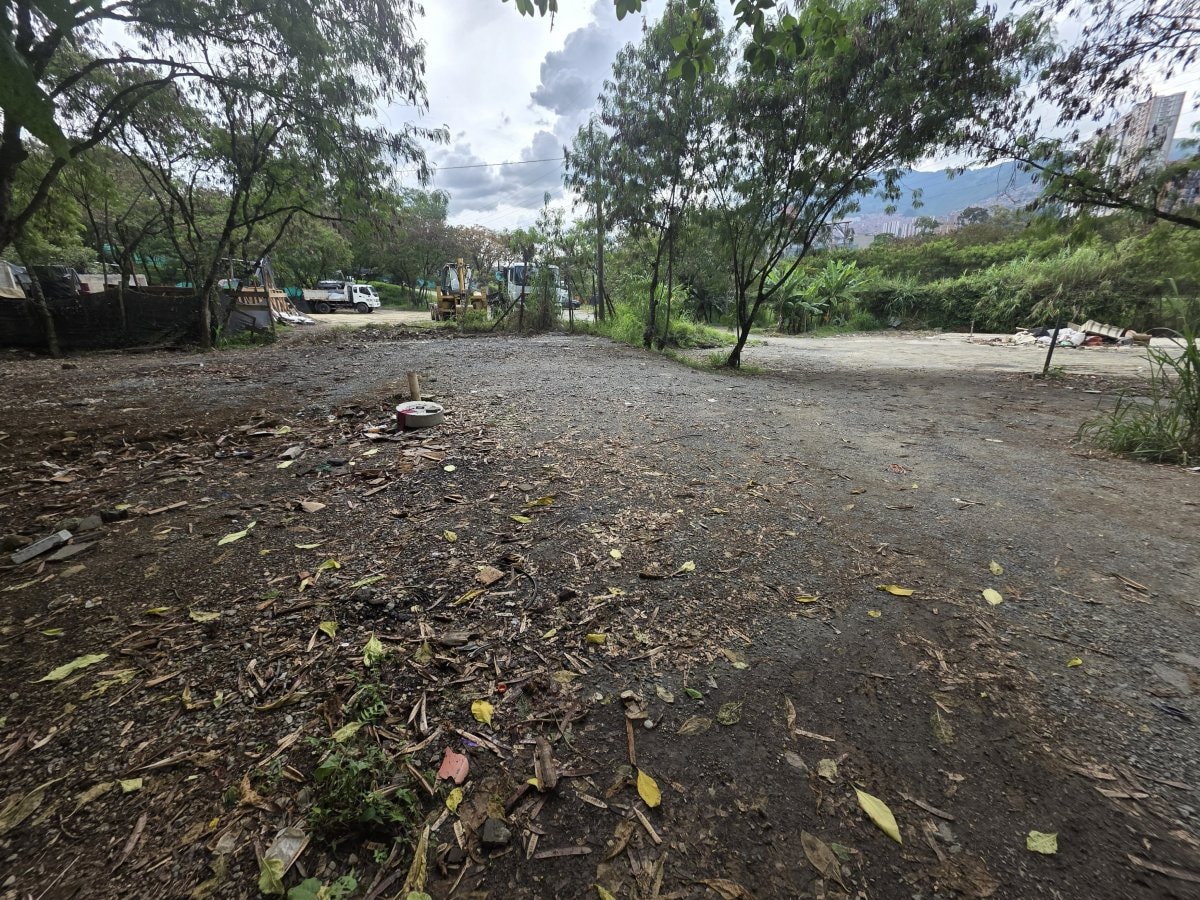 Lote - Foto 18