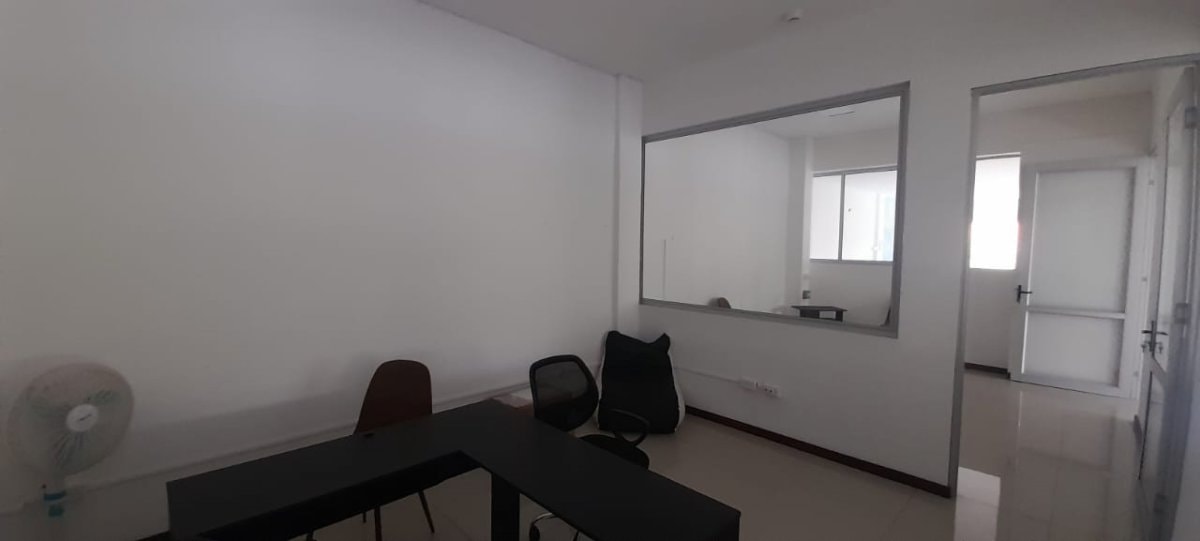 Bodega - Foto 21