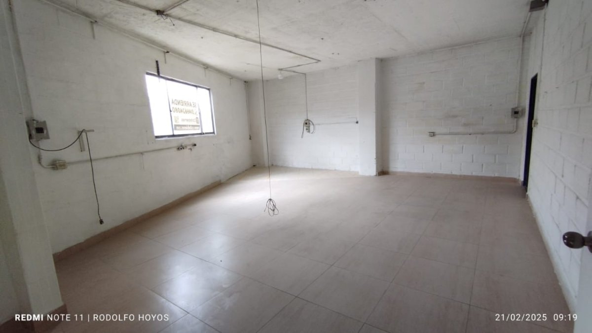 Bodega - Foto 2