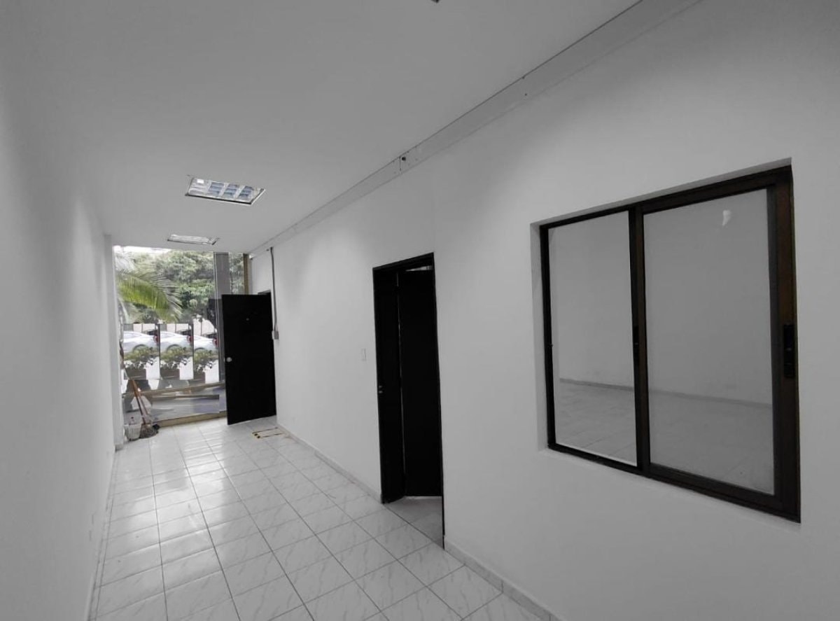 Local - Foto 4