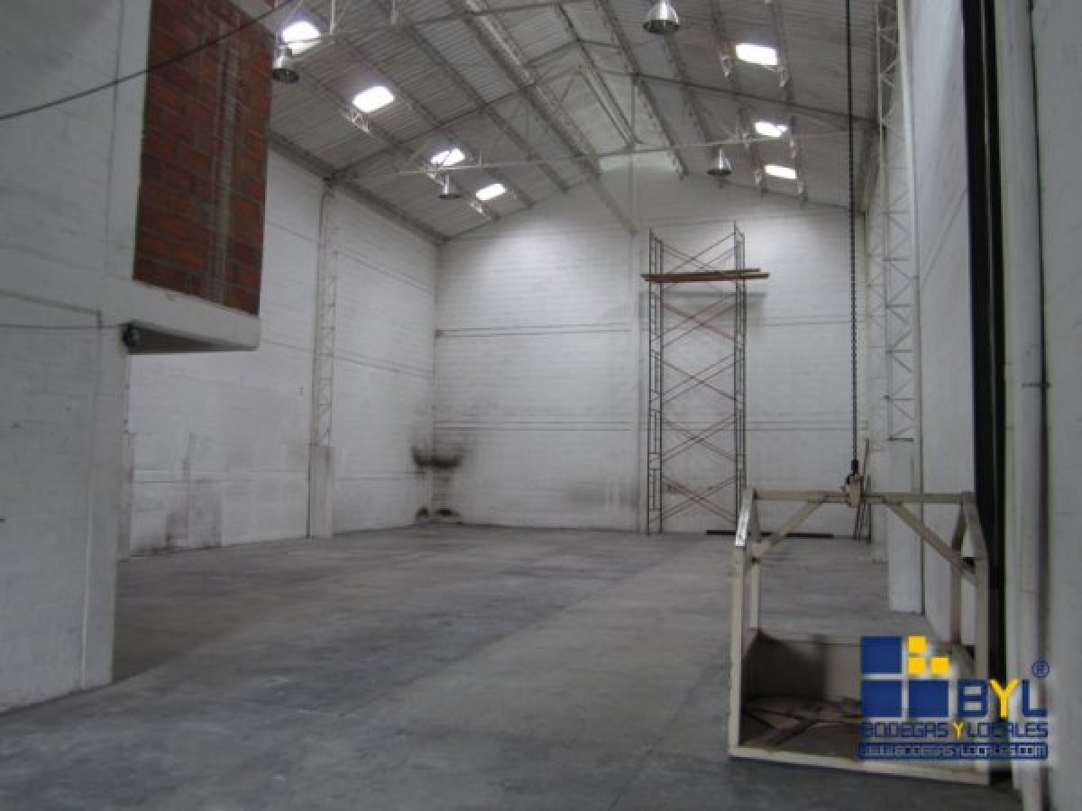 Bodega - Foto 3