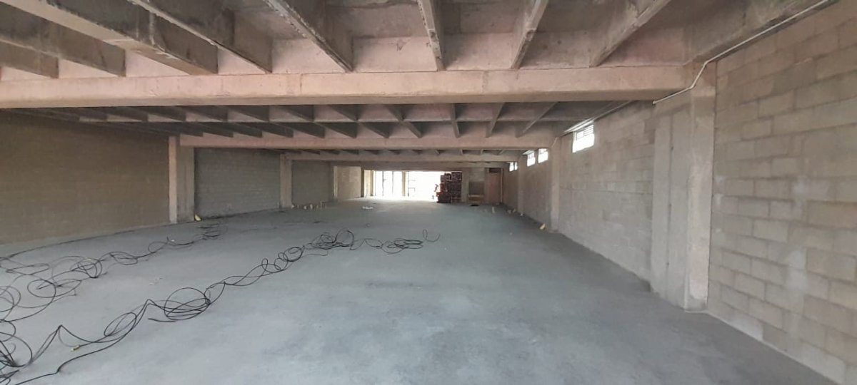 Bodega - Foto 5