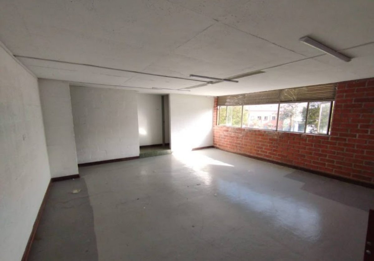 Bodega - Foto 5