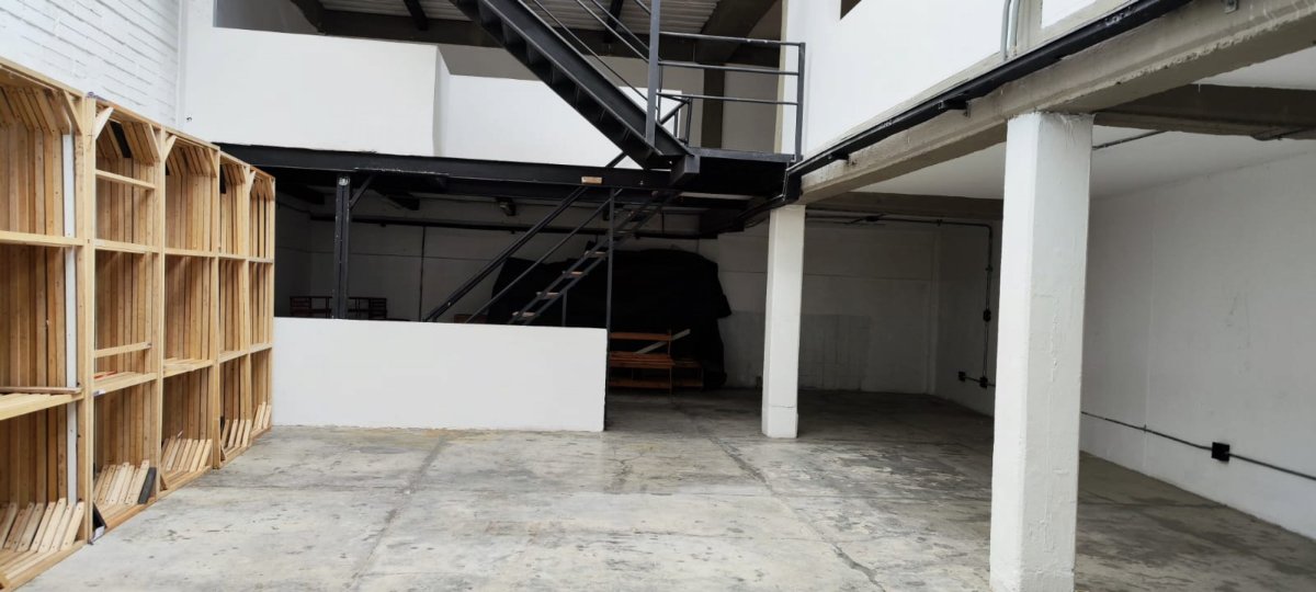 Bodega - Foto 6