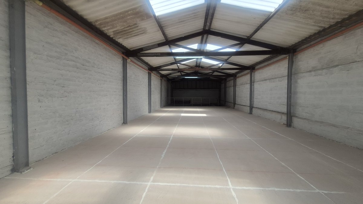 Bodega - Foto 11