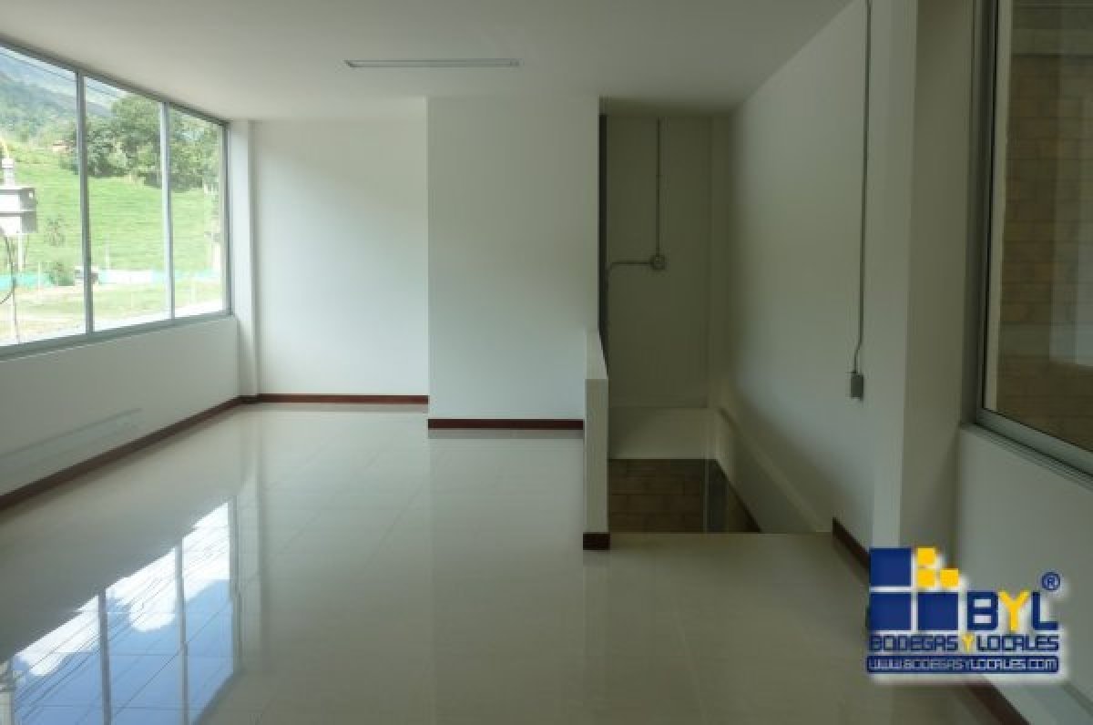 Bodega - Foto 11