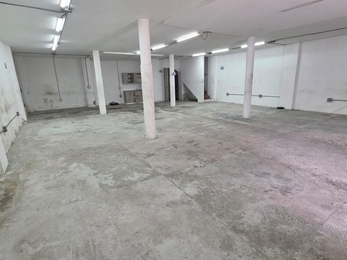 Bodega - Foto 6