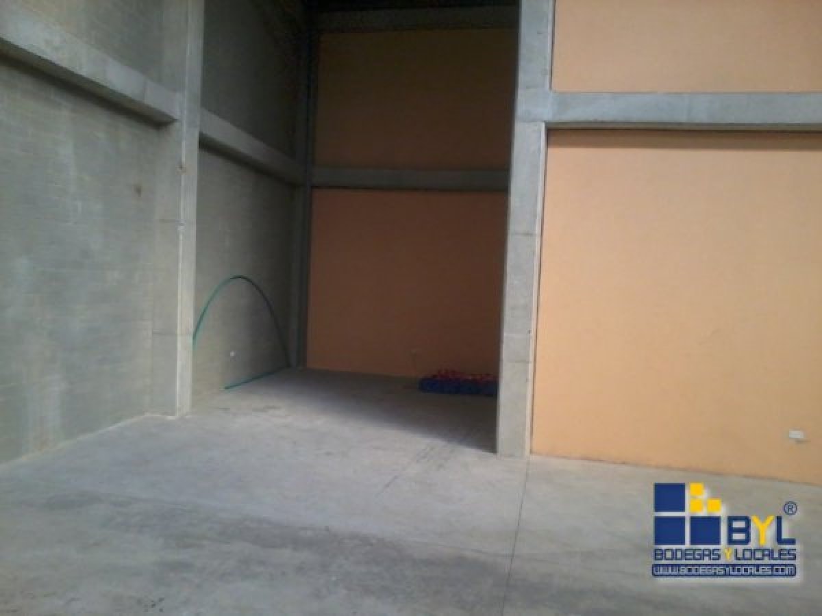 Bodega - Foto 7