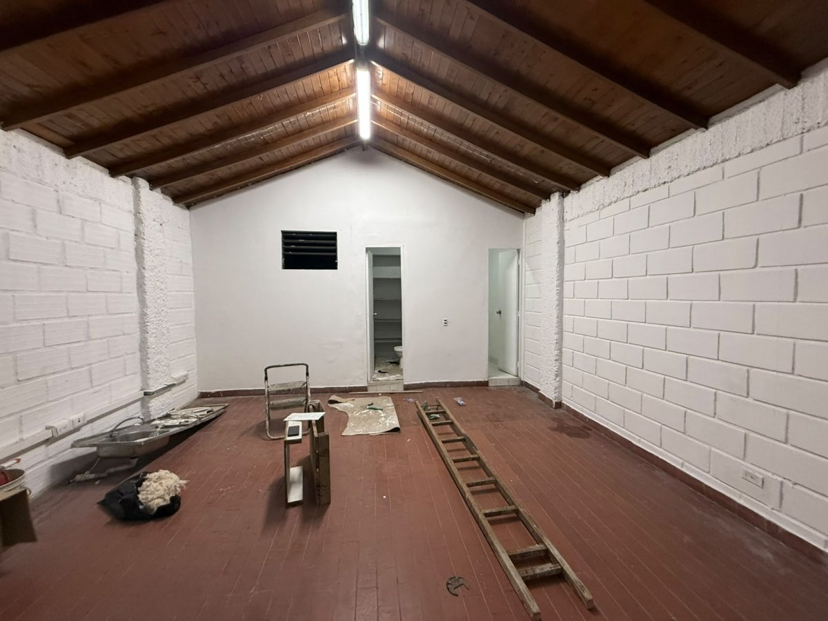 Bodega - Foto 5