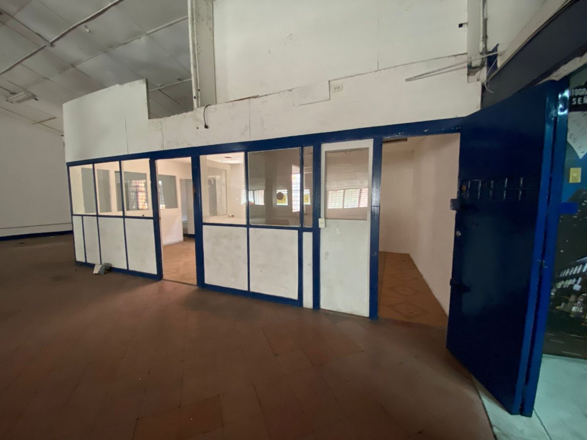 Bodega - Foto 2