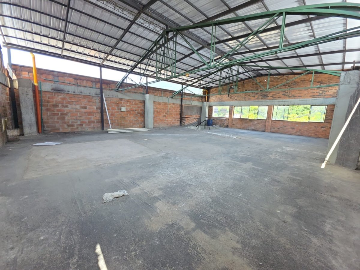 Bodega - Foto 6