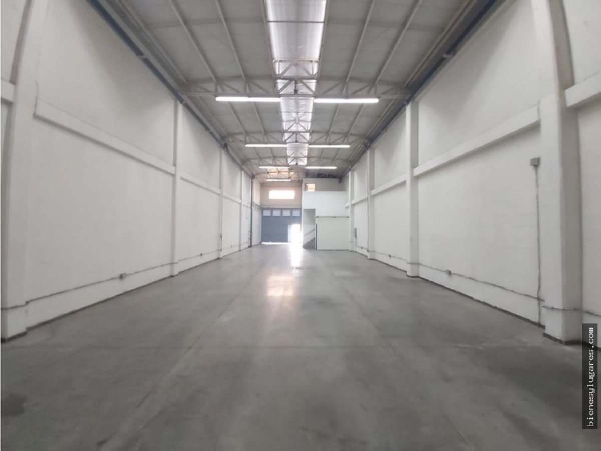 Bodega - Foto 4