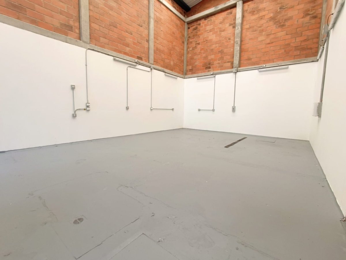 Bodega - Foto 1