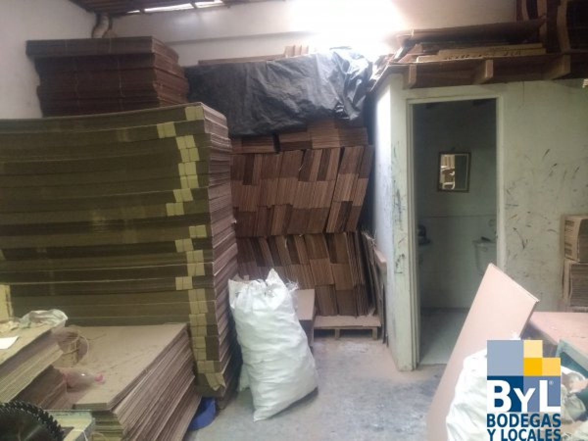 Bodega - Foto 5