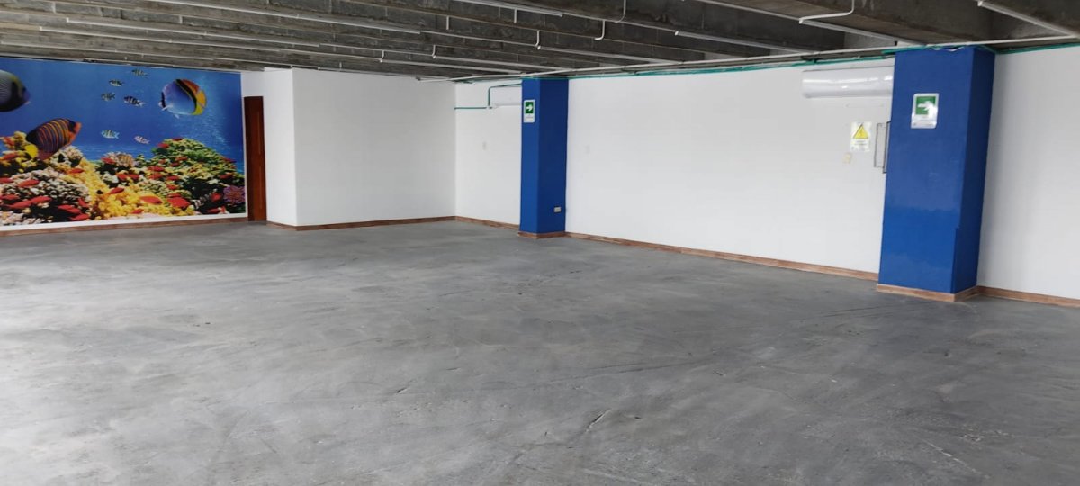 Bodega - Foto 2
