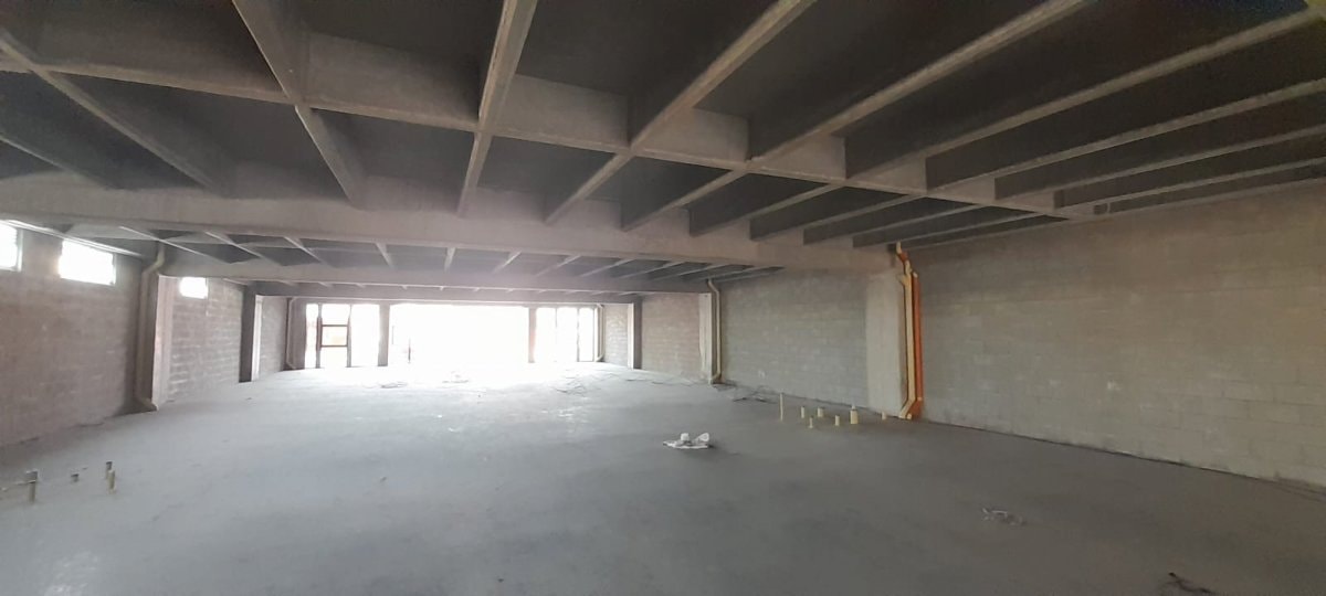 Bodega - Foto 2