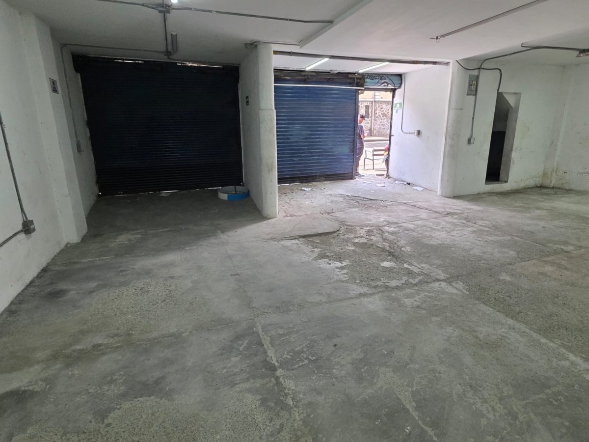Bodega - Foto 4