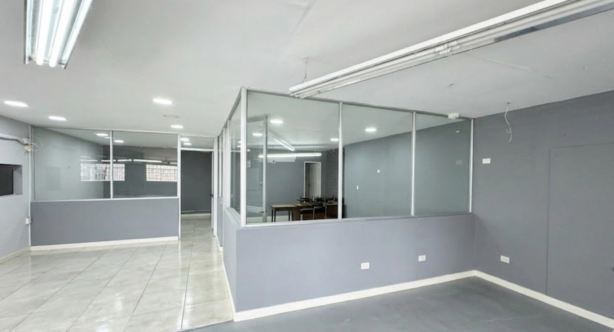 Bodega - Foto 3