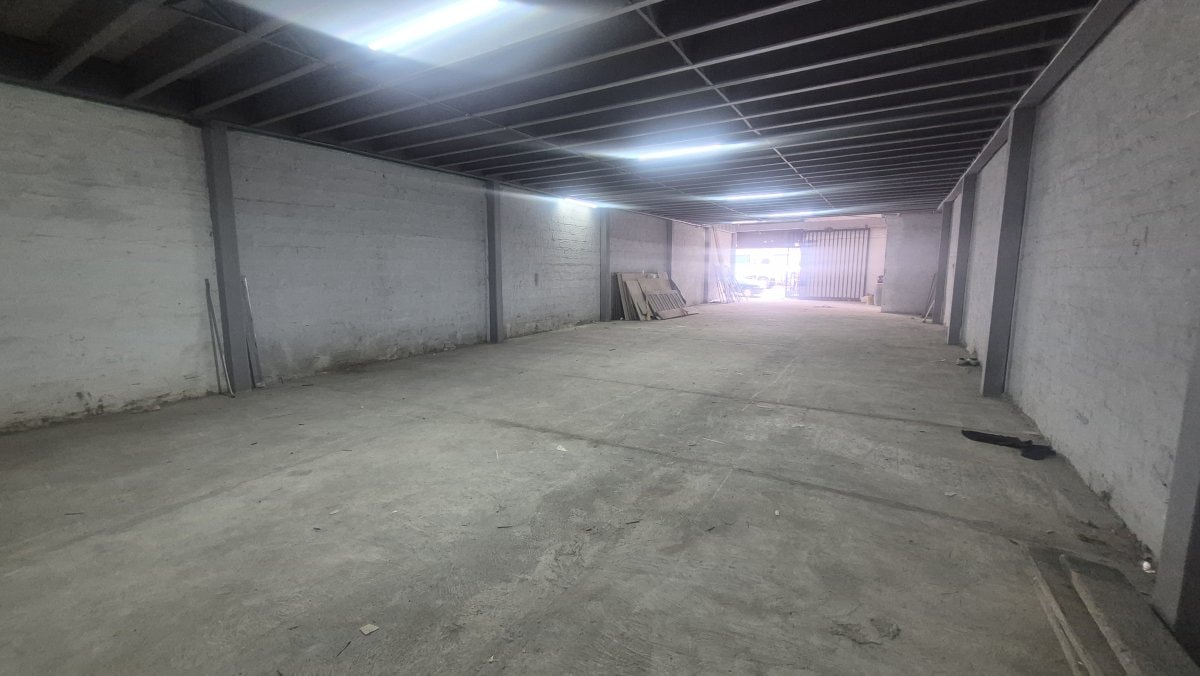 Bodega - Foto 3