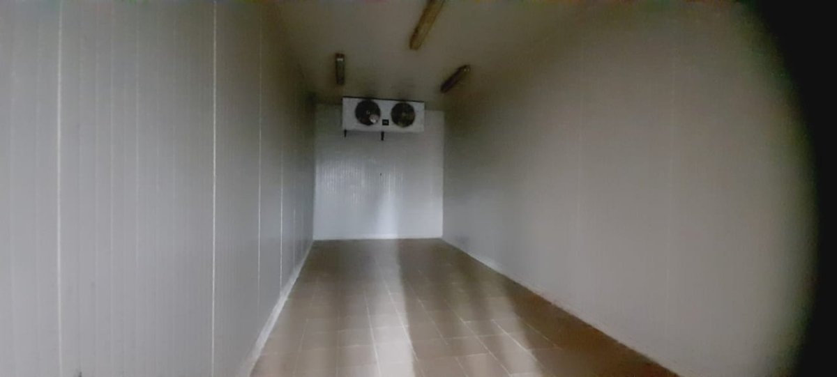 Bodega - Foto 5