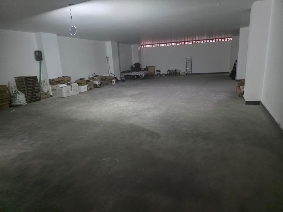 Bodega - Foto 5