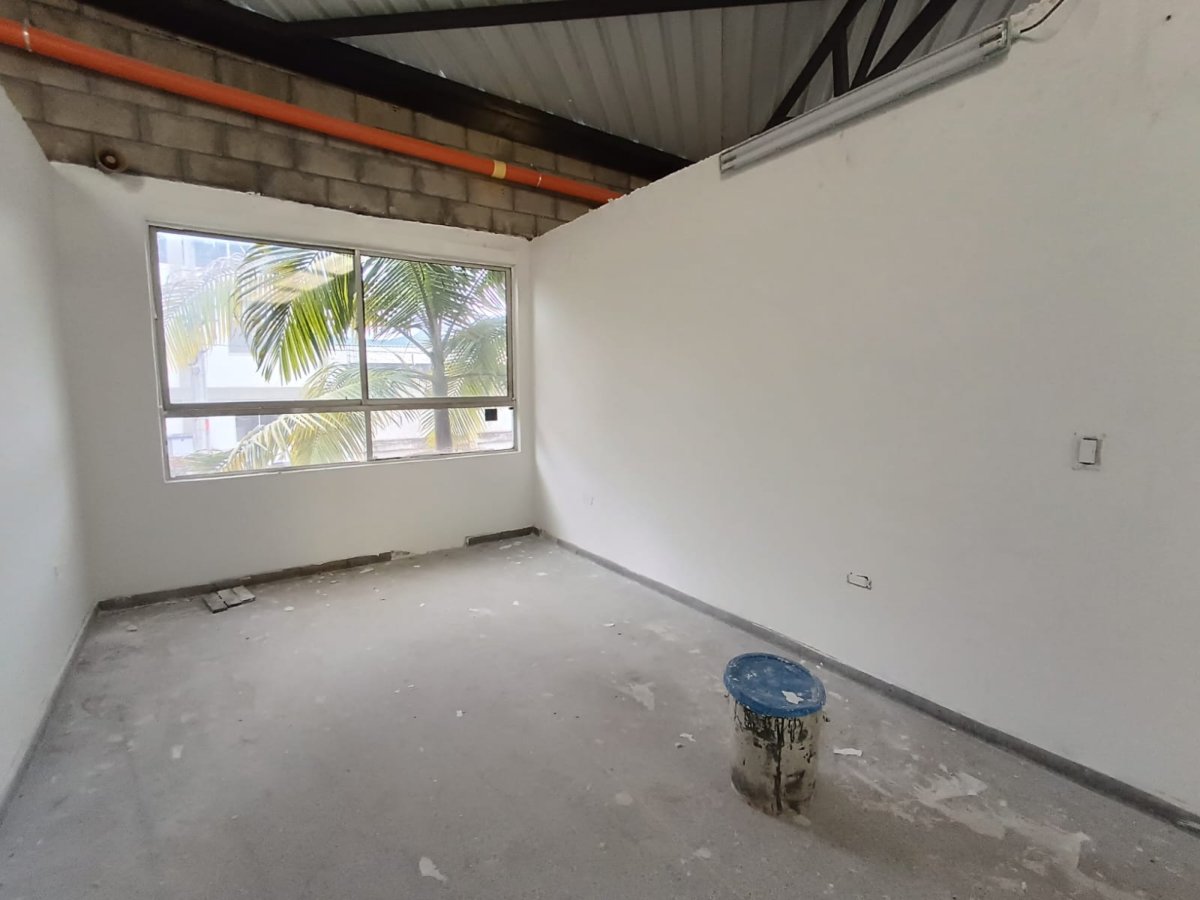 Bodega - Foto 10