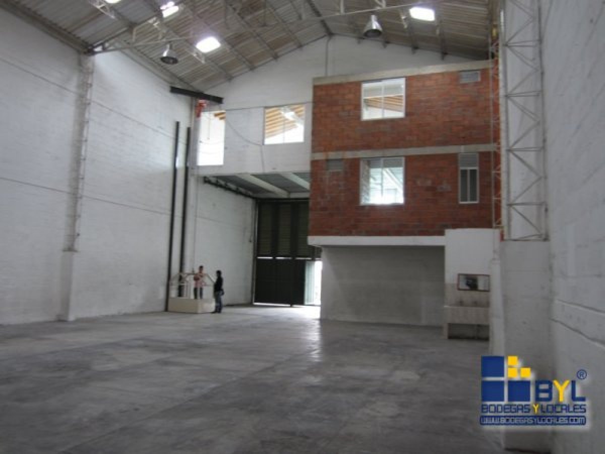 Bodega - Foto 6