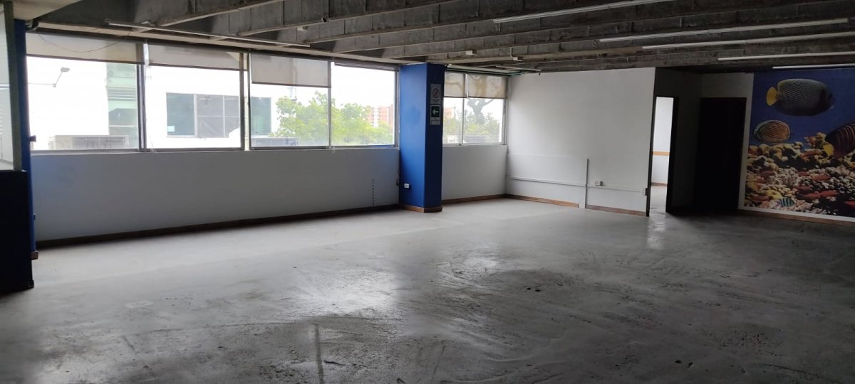 Bodega - Foto 1